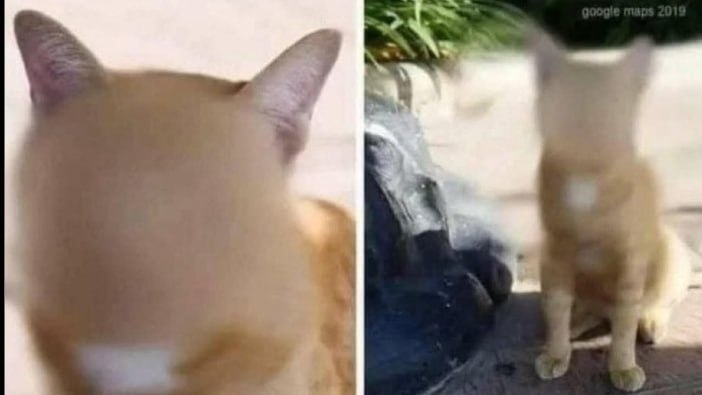 (🔥SOL) Anoncat

$ANONCAT just launched on pumpfun. A cat's face was censored on Google maps. Original post has 2M views on X.  Low cap, raise just started. Risky degen. Dyor. Disclaimer

t.me/AnonCatCoin

x.com/AnonCatpump/st…

t.me/officialcrypto…
