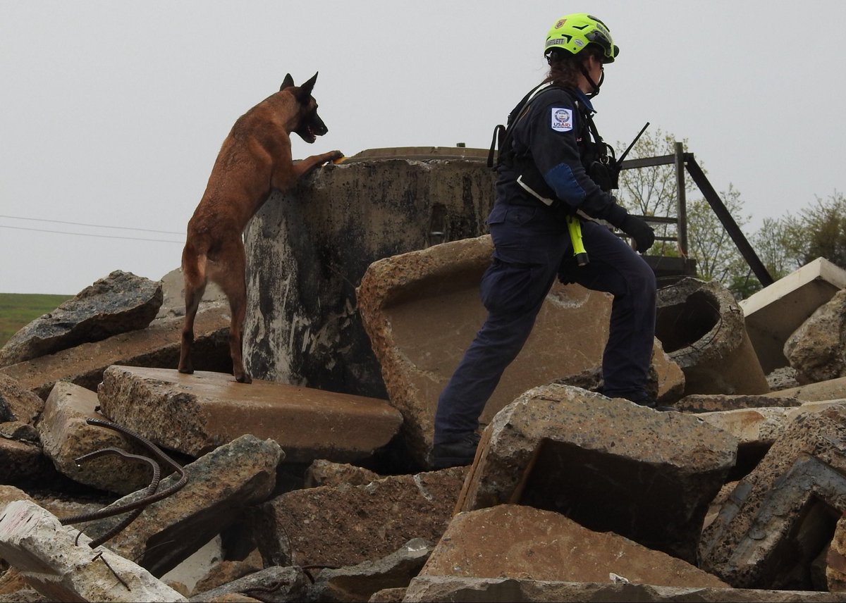VATF1's tweet photo. @vatf1 regrets to announce the passing of retired #canine Ivan. Ivan deployed internationally and domestically and served for 10 years. We thank Ivan for his dedicated global service and extend our deep condolences to his family &amp; the members of the canine section.
@ffxfirerescue https://t.co/S1xiyx5wvJ