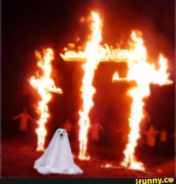 National Bible and Firearm Association tweet media