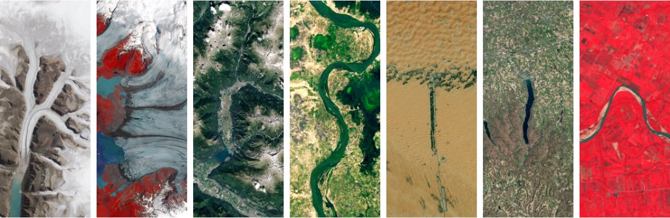 Kerstin Koepl 📖 tweet media