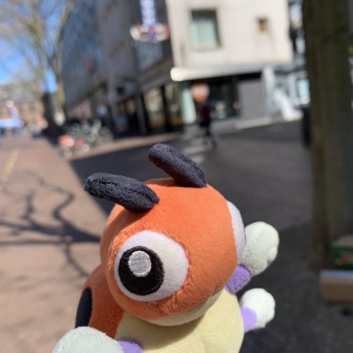 LedybaBaby's tweet photo. I love having amazing followers. :3

#Pokemon #Ledyba #Rediba #レディバ #ポケモン #ポケぬい #Nijmegen https://t.co/uhnwUGeX9r