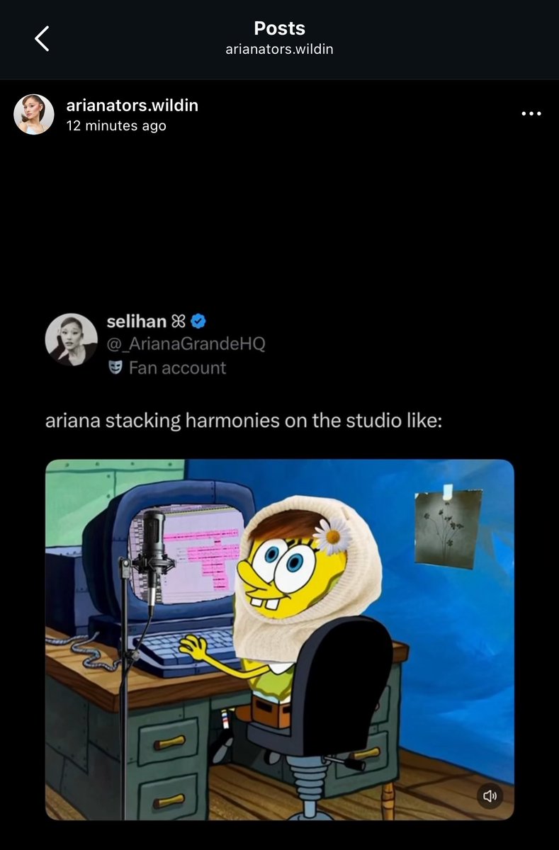 selihan ꕤ tweet media