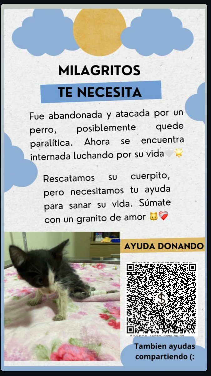 cojuda💖 tweet media