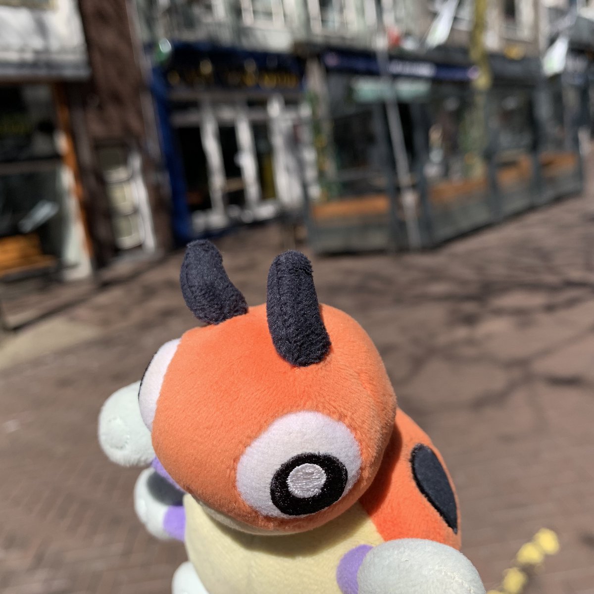 LedybaBaby's tweet photo. This is a fun pose for a photo. :3

#Pokemon #Ledyba #Rediba #レディバ #ポケモン #ポケぬい #Nijmegen https://t.co/GBE1nOW3f1