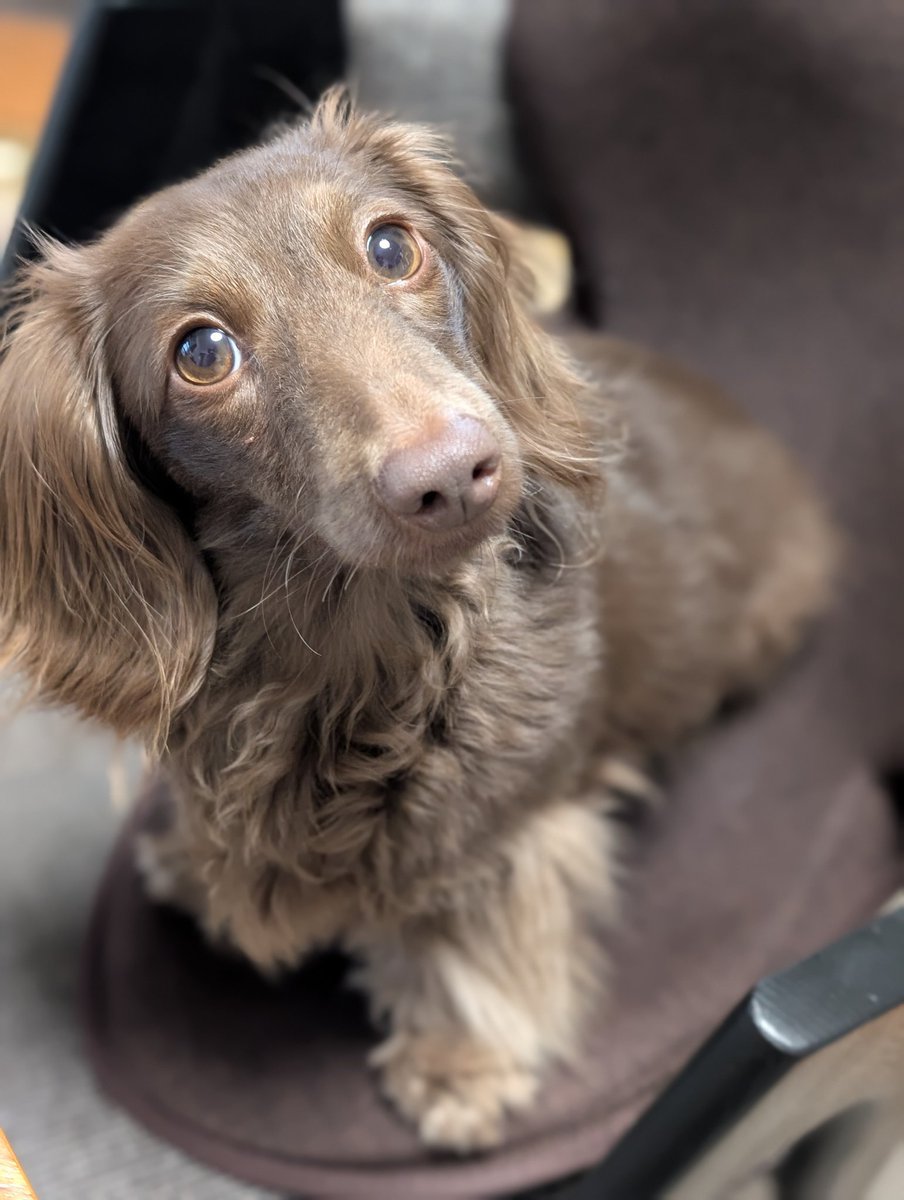 たら🌈＆うーぴーʚ๑⃙⃘´༥`๑⃙⃘ɞ🌸⋆* tweet media