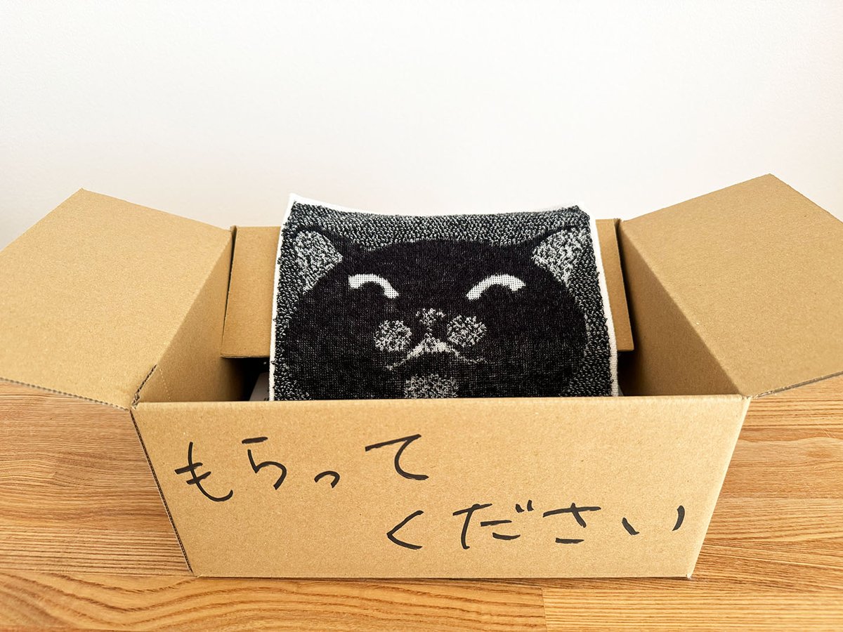 ジョーナンくん🐘【今治のタオル屋さん】 tweet media