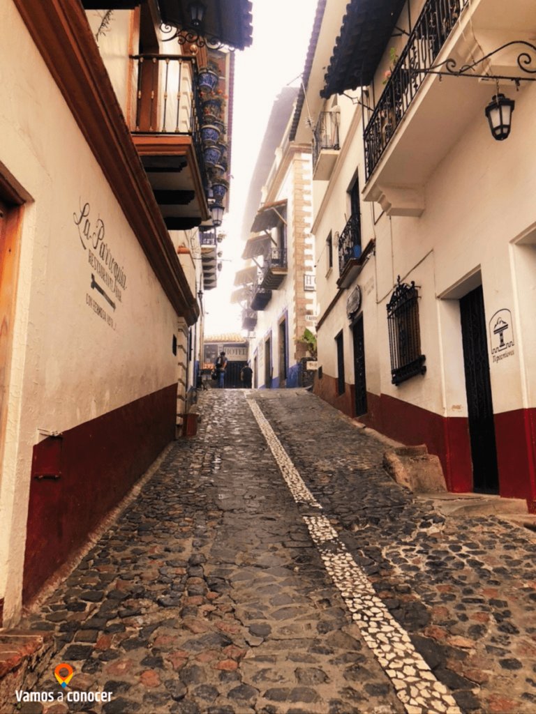 Gris Bohemio tweet media