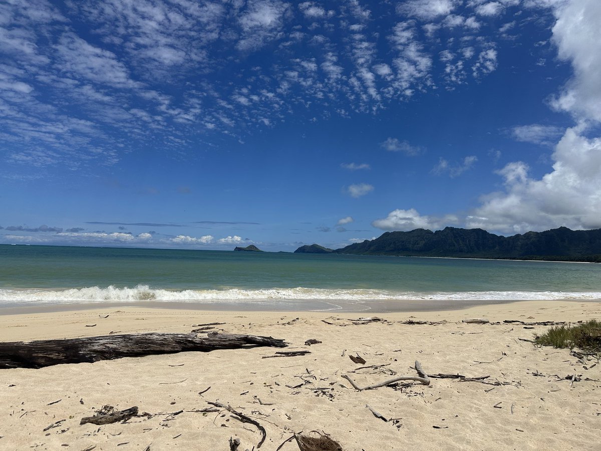 Patrick McK tweet media