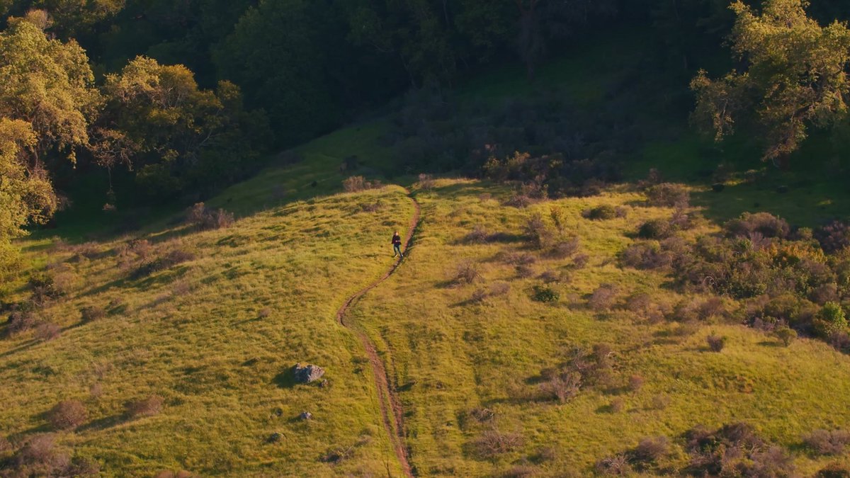 Backrooms Movie Updates tweet media