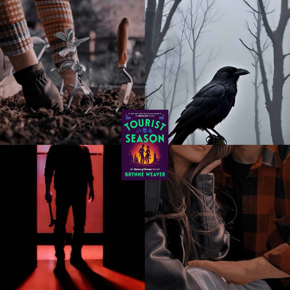 ashnbookcorner 📚 tweet media