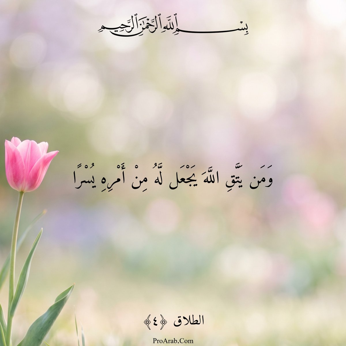 ProArabiSlamic's tweet photo. آيات قرآنية على صور
للمزيد من الصور المشابهة، من هنا 👇
https://t.co/ceMsI2rTbJ
#آيات_قرآنية_على_صور #أجمل_آيات_القرآن_بالصور https://t.co/fadZ8JOfJn