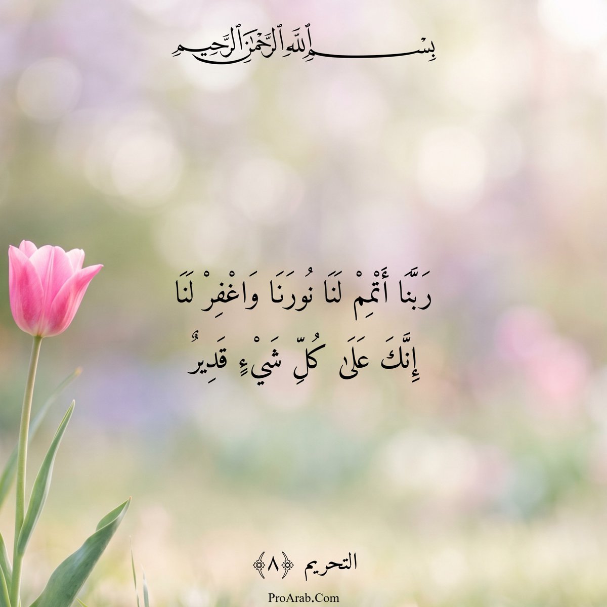 ProArabiSlamic's tweet photo. آيات قرآنية على صور
للمزيد من الصور المشابهة، من هنا 👇
https://t.co/ceMsI2rTbJ
#آيات_قرآنية_على_صور #أجمل_آيات_القرآن_بالصور https://t.co/fadZ8JOfJn