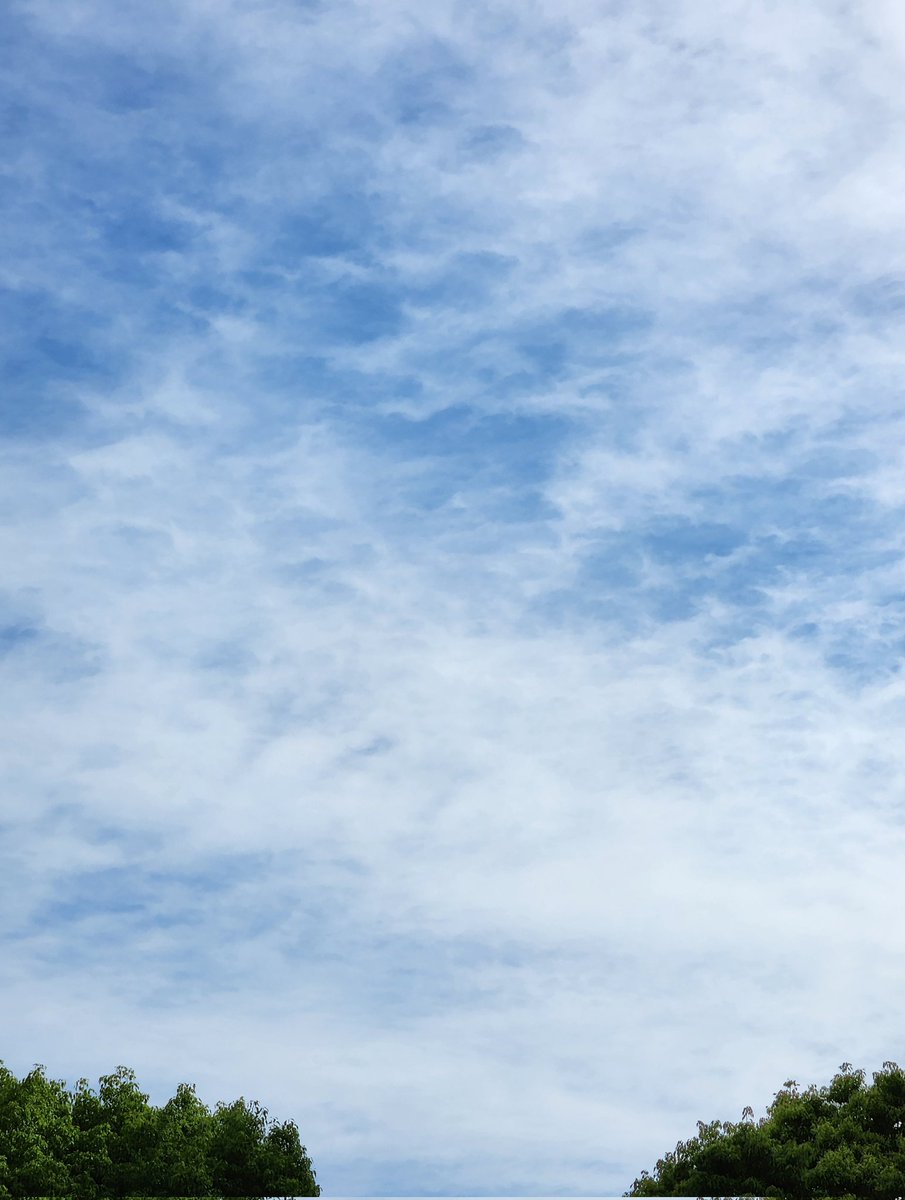 れいんドロップ tweet media