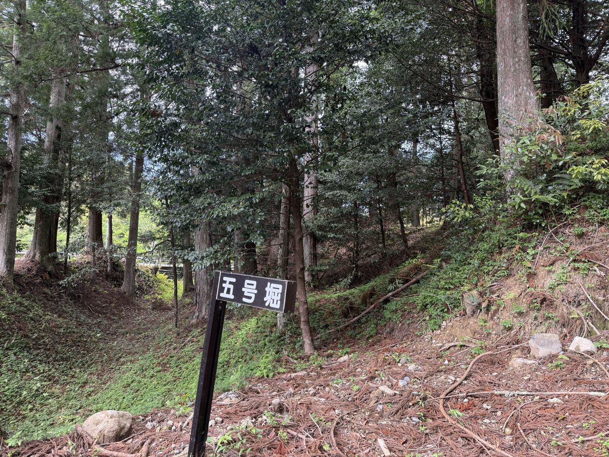 castle1146's tweet photo. #小長谷城 （静岡県）

⛩️徳谷神社がある🈁は 小長谷さんのぉ🏡だたらしく 1~5号の堀が👀でき 丸馬出の外に角馬出とぃぅ連続馬出(附属曲輪)が見どころだね😉🐎ﾋﾋｰﾝ
1📸 5号堀 右に三の丸 土塁
2📸 古井戸🕳️ﾋｬｰ😱

3📸 3号堀 右手は丸馬出🐎
4📸 4号堀 右手に角馬出🐎
勉強になたのだ🤔ﾌﾑ https://t.co/xOdunZAmKp