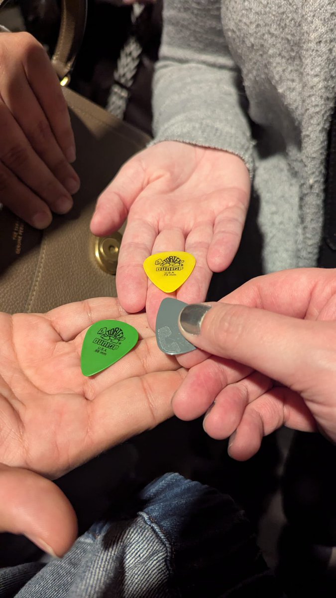 Turtally Awesome 🐢 tweet media