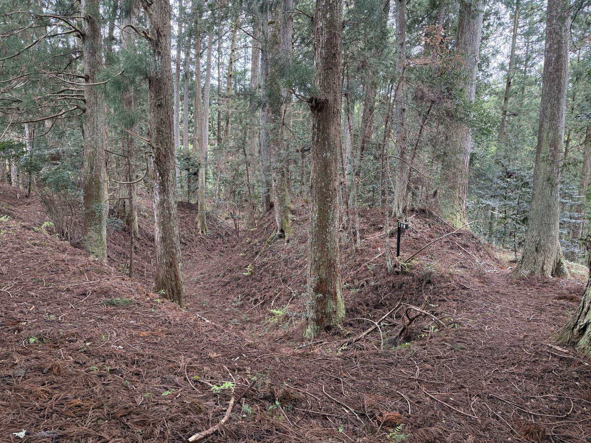 castle1146's tweet photo. #小長谷城 （静岡県）

⛩️徳谷神社がある🈁は 小長谷さんのぉ🏡だたらしく 1~5号の堀が👀でき 丸馬出の外に角馬出とぃぅ連続馬出(附属曲輪)が見どころだね😉🐎ﾋﾋｰﾝ
1📸 5号堀 右に三の丸 土塁
2📸 古井戸🕳️ﾋｬｰ😱

3📸 3号堀 右手は丸馬出🐎
4📸 4号堀 右手に角馬出🐎
勉強になたのだ🤔ﾌﾑ https://t.co/xOdunZAmKp