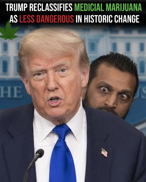 JesusChryslerII's tweet image. #WEED