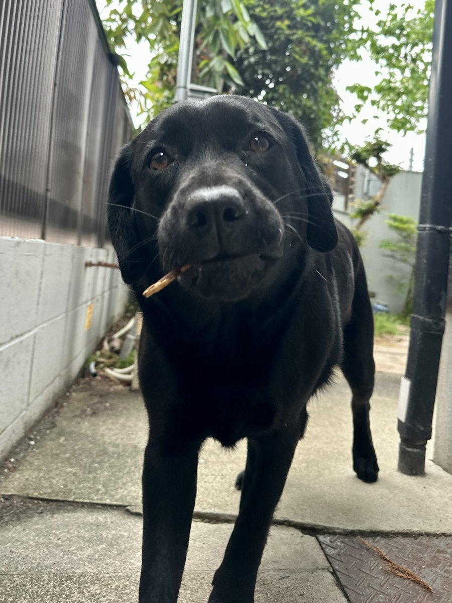 めぐセンセ🐴@東京の直線が長すぎる tweet media