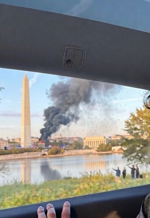 Organizermemes tweet media