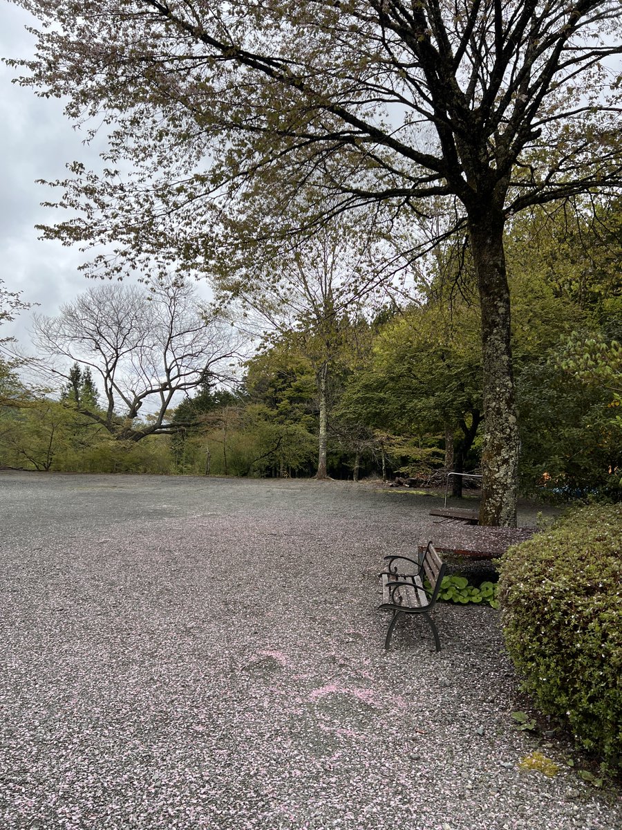 c_v_c_camp's tweet photo. 花のいのちは儚い。
あっという間に時はうつろう。
日々大切に生きよう⛺️ https://t.co/cZrxeYyIYq