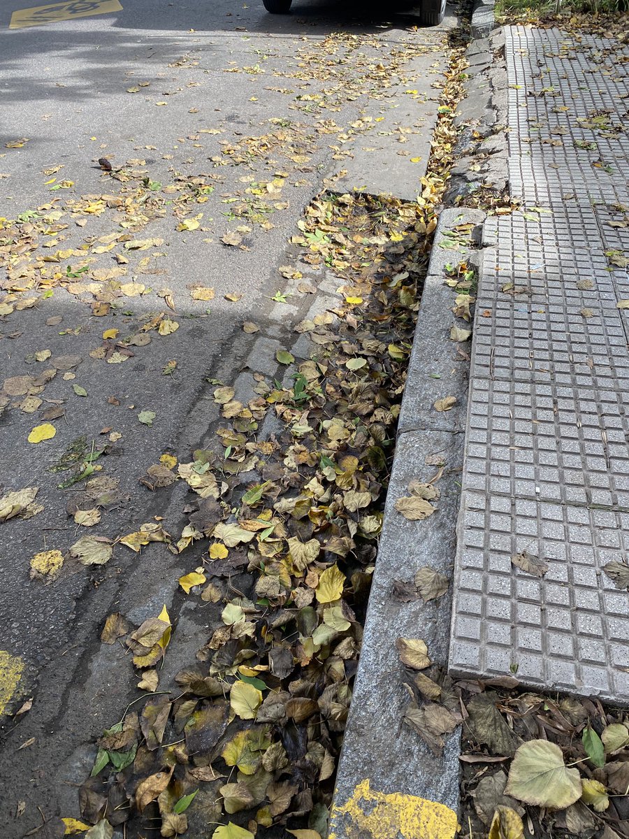 MISTER_EIGHT9's tweet photo. @thekillerpro_ Y ni barrenderos Sol BAYRES un desastre SAAVEDRA VILLA URQUIZA https://t.co/asm1zJRU2x