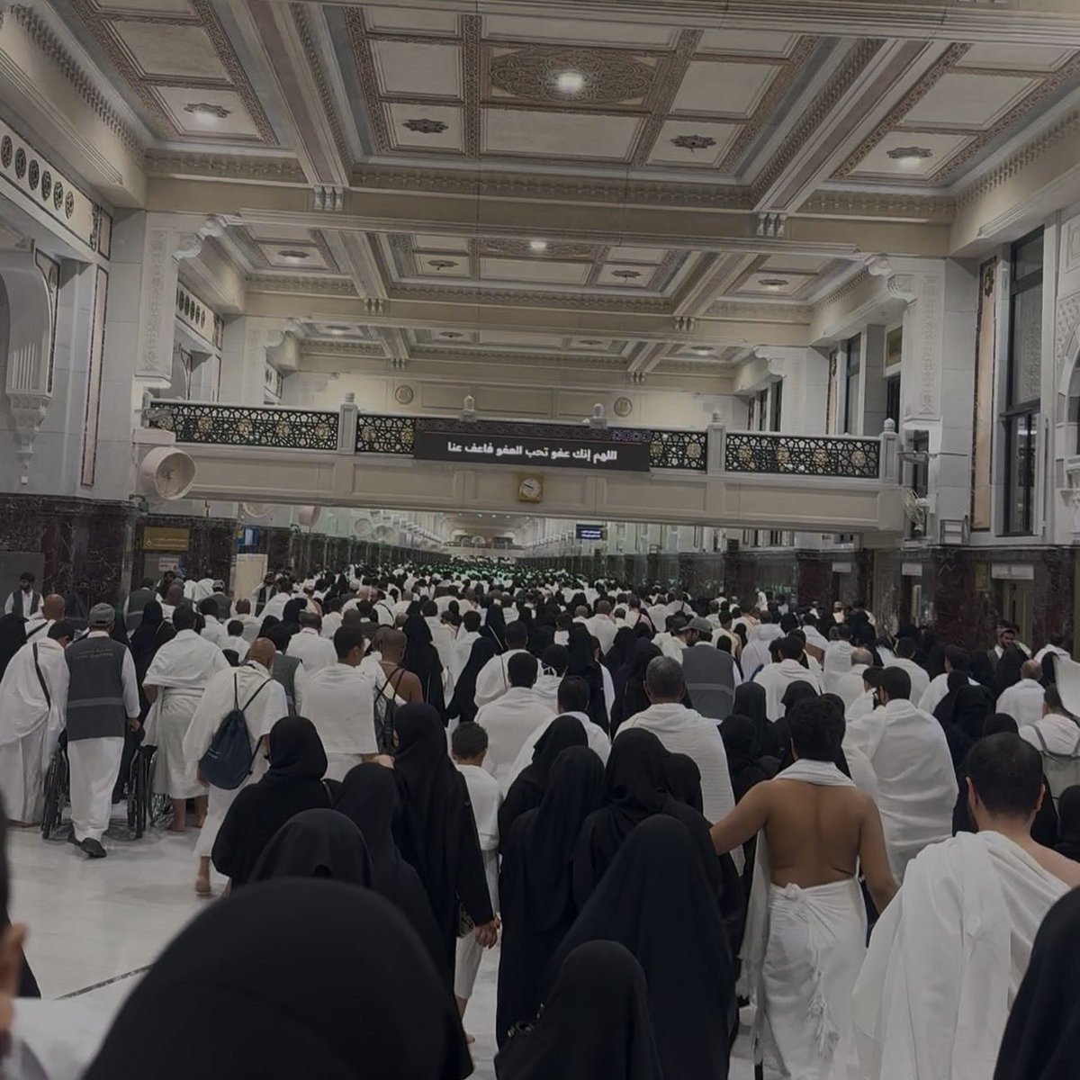 ريناد الخلف . tweet media