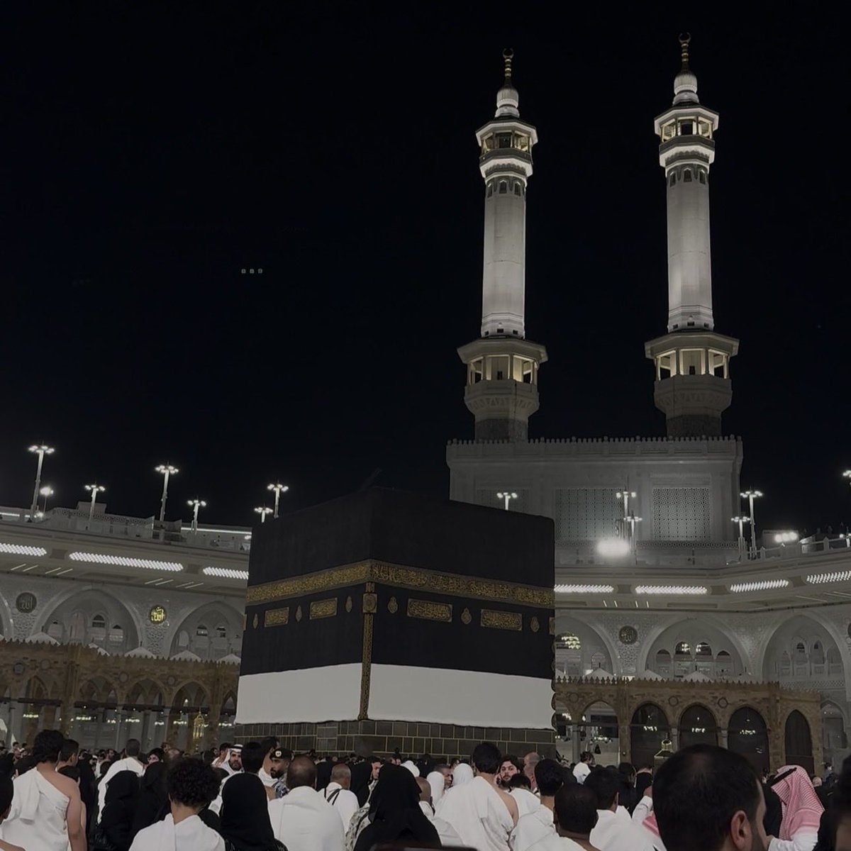 ريناد الخلف . tweet media