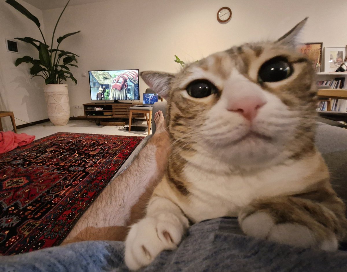 آیدین داش‌آغلو tweet media