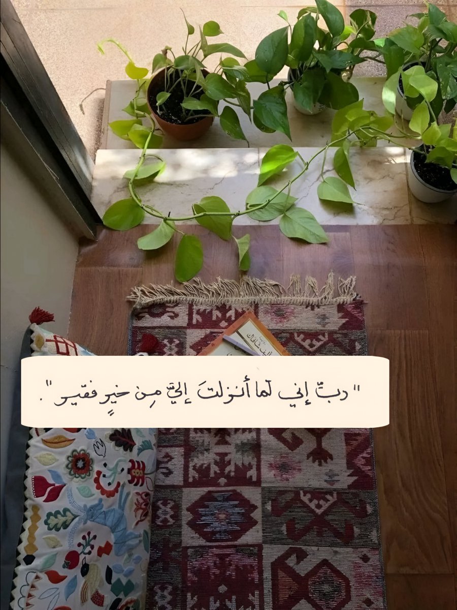 مغفرة tweet media