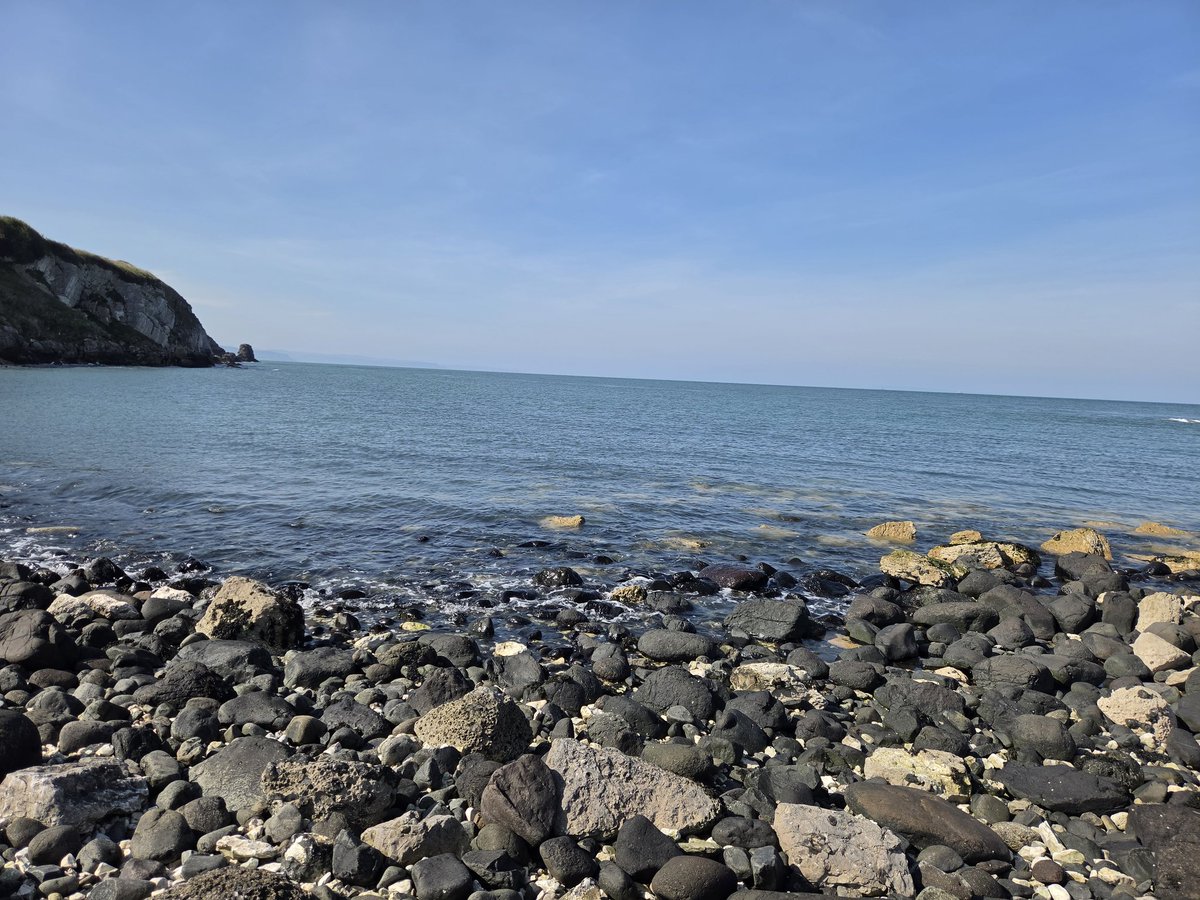 NotReallyStacy tweet media