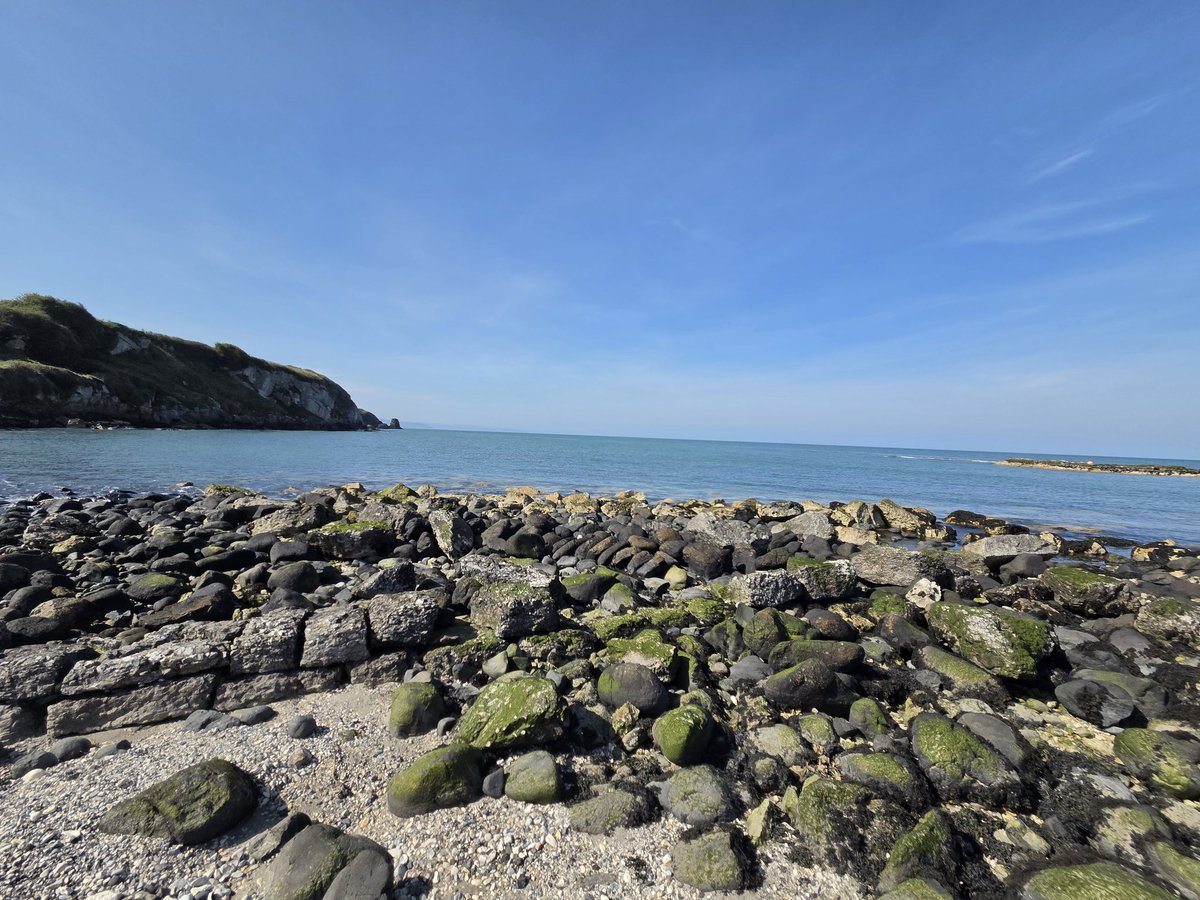 NotReallyStacy tweet media