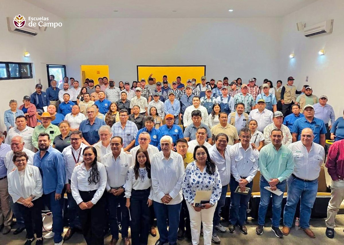 escuelasdecampo's tweet photo. En el marco del #PlanCampeche, se realizó el evento “Manejo agronómico de precisión para mejorar la productividad en arroz de riego y de temporal”, donde quedó de manifiesto nuestro objetivo de recuperar la tradición arrocera de #Campeche, apoyando a produtoras y productores.🧵 https://t.co/mETzr3A0AE