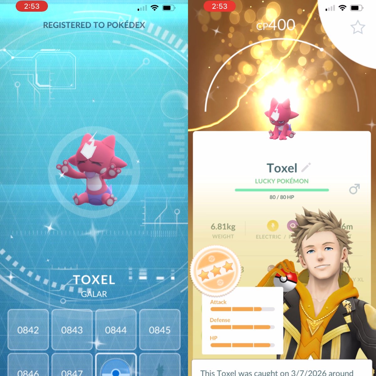 MasterBall603 tweet media