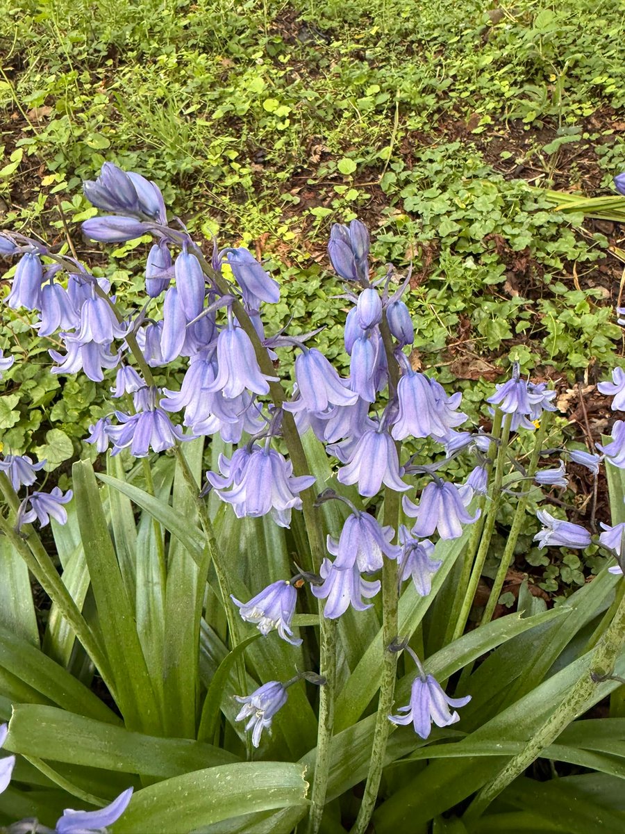 edlr73 tweet picture