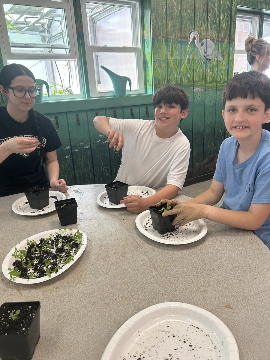 CCPS_STEM tweet media