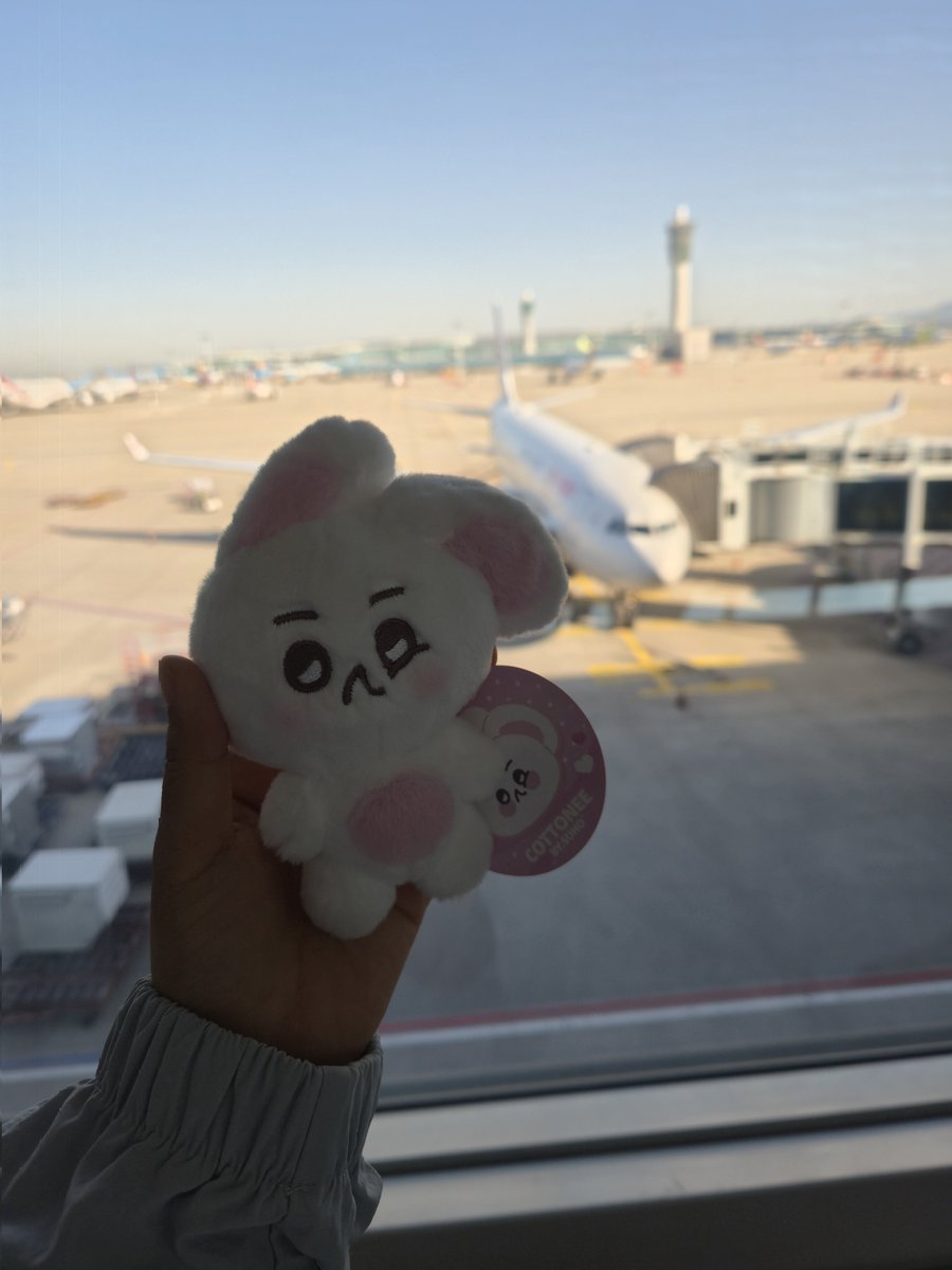 🎸코코🐰 tweet media