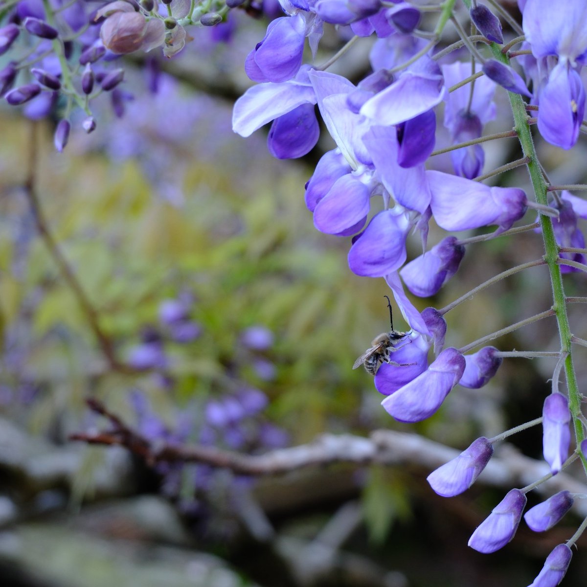ゆた@在宅勤務ブロガー tweet media