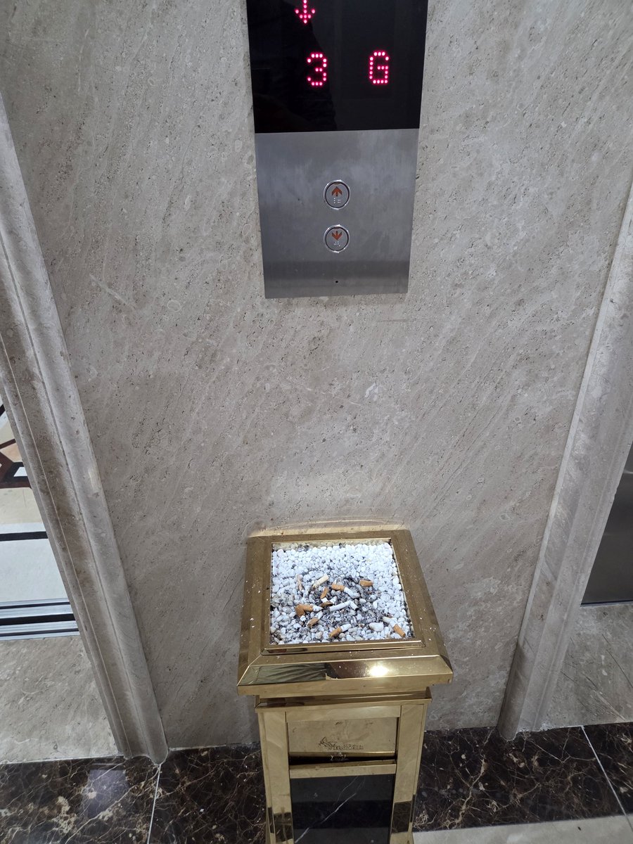 Today_Type-G tweet media