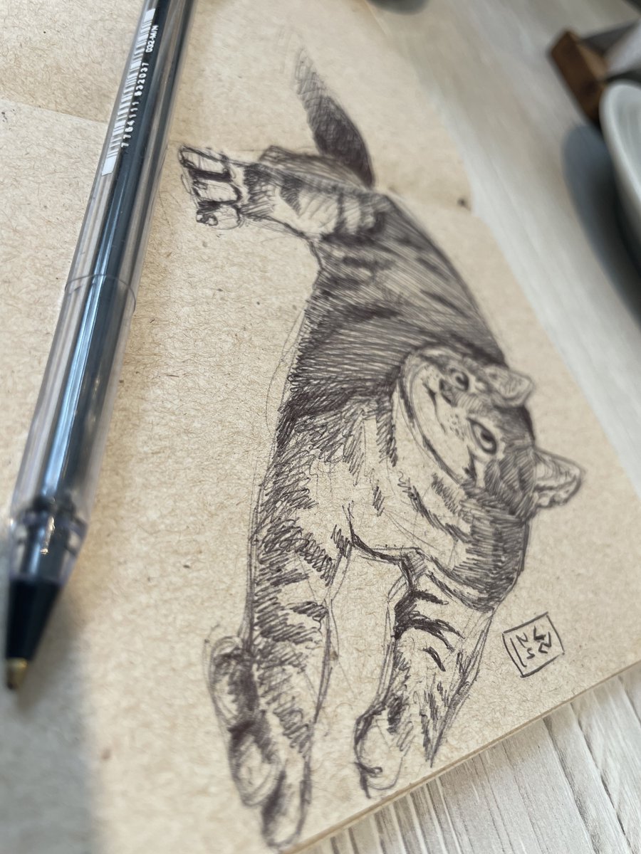 ✨ REISER ✨ tweet media