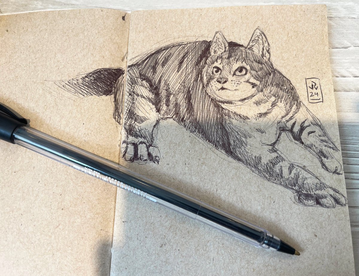 ✨ REISER ✨ tweet media