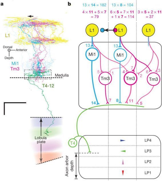 sirius black tweet media