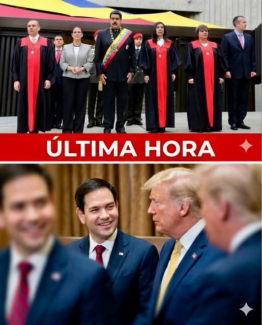 Mary Luz 🎉🇻🇪 tweet media