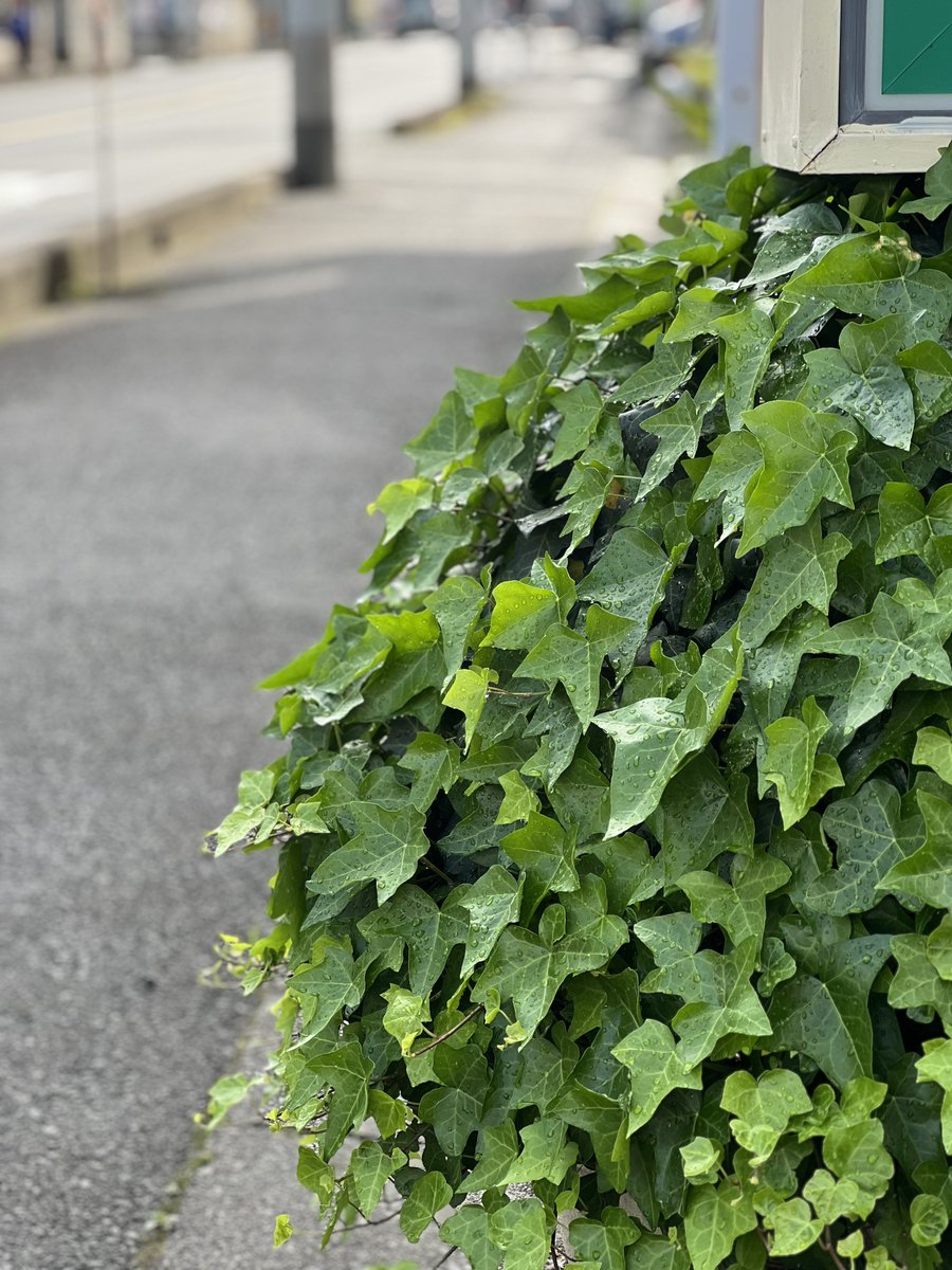 DaisukE KURATA（倉田大輔） tweet media