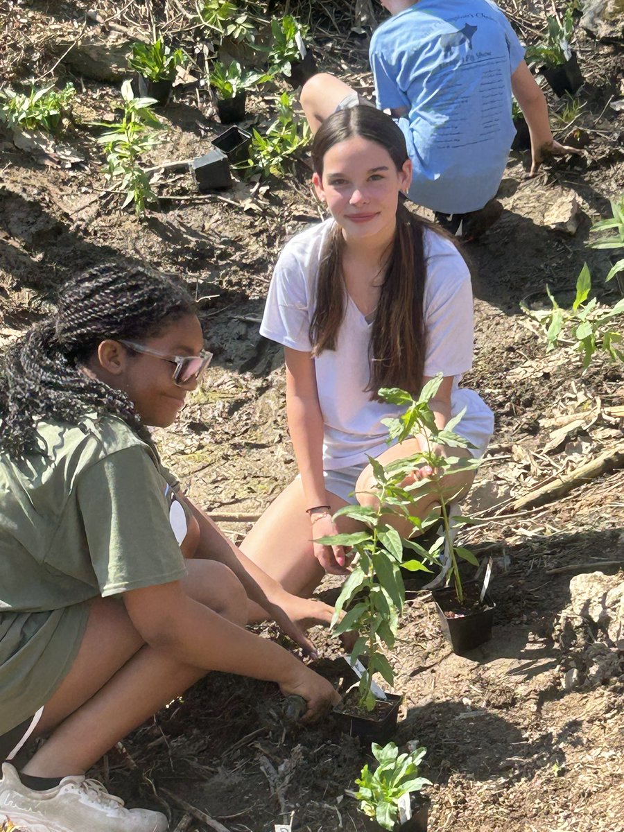 CCPS_STEM tweet media