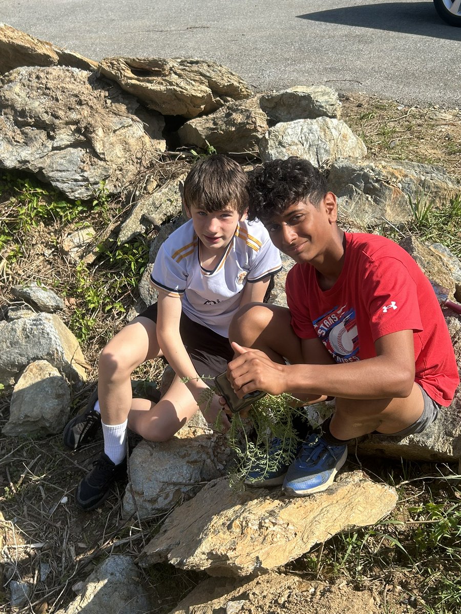 CCPS_STEM tweet media