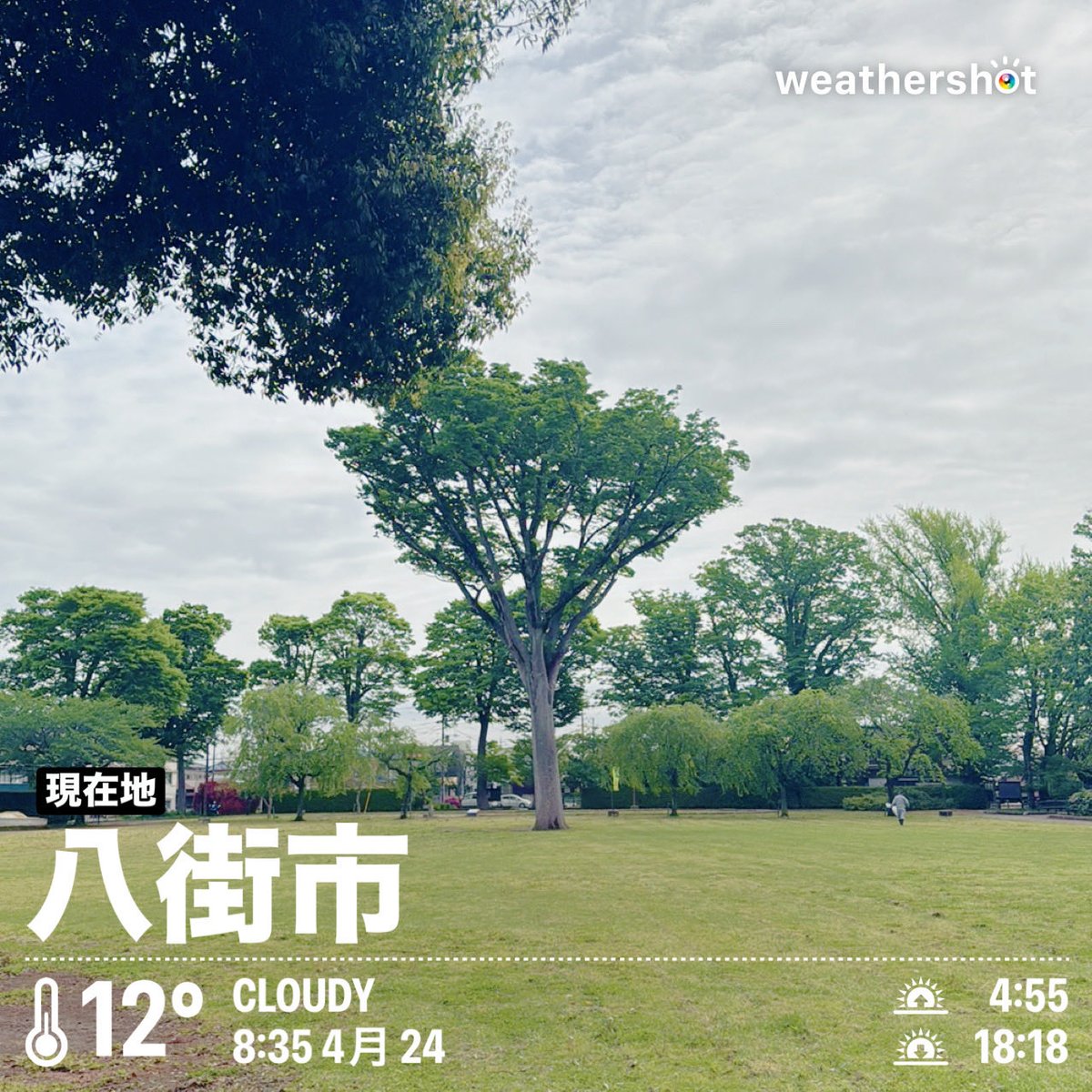 momo_sk's tweet image. Cloudy 八街市 #日本 #JP #WEATHERSHOT
#いまそら #八街 #けやき観察 #けやき #けやきの森 #公園　#定点観測　#定点観察