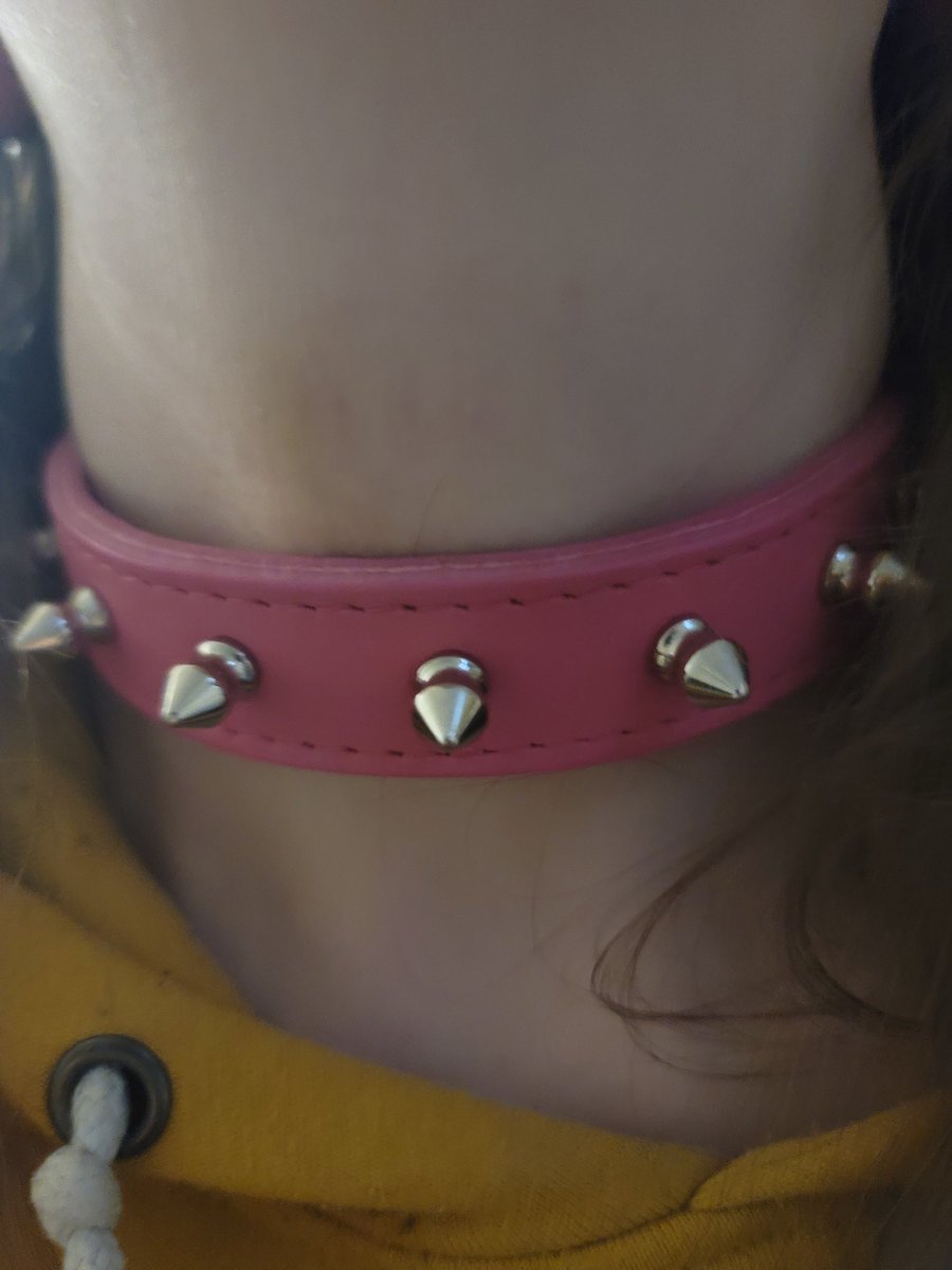 ickyprincessbun's tweet photo. Daddy got puppy a cute spikey collar ❤️🐶 the pink matches my puppy bowl 🥺 Now everyone knows I'm owned 🥰 https://t.co/YckOJtwVEH