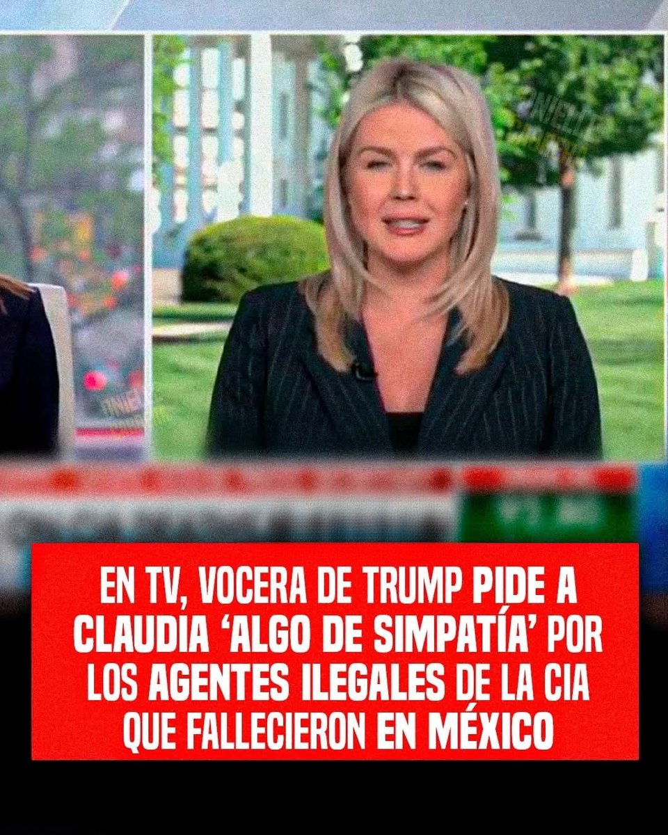 Veronica Ibañez tweet media