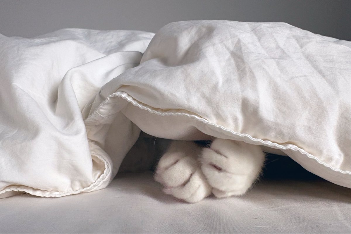 モリヒト / MORITA Hitomi tweet media