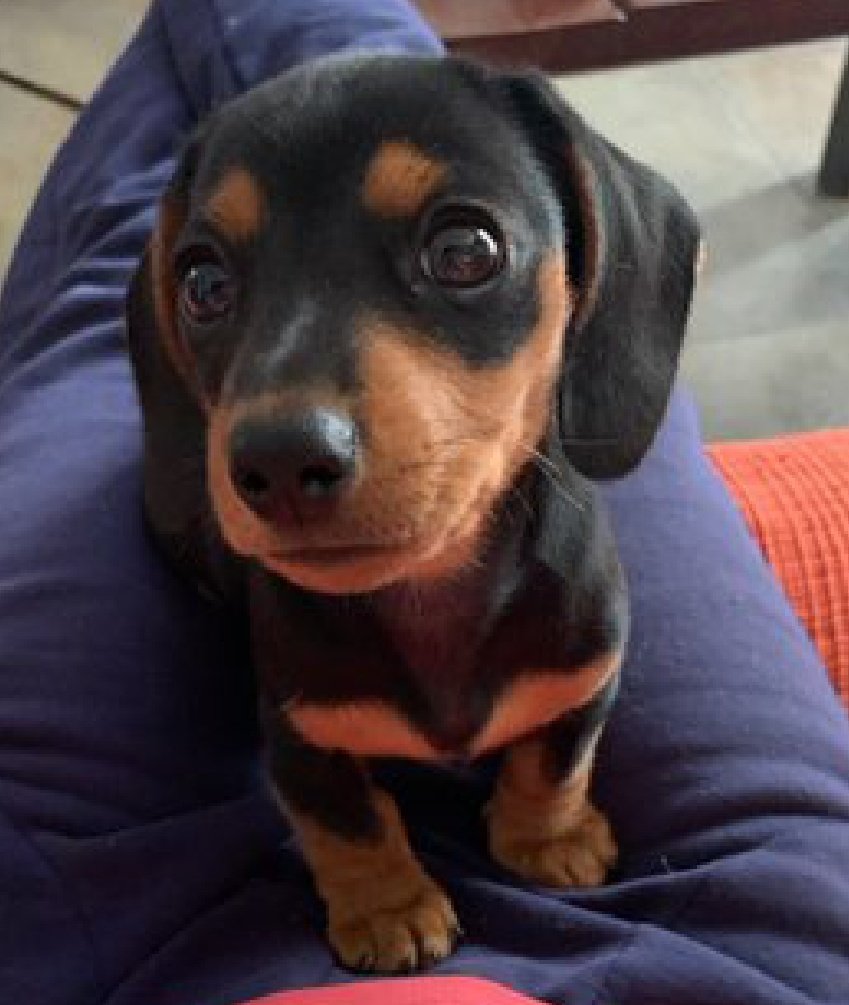 Yu FuFu tambien puede ser funable y tiene full AoD tweet media